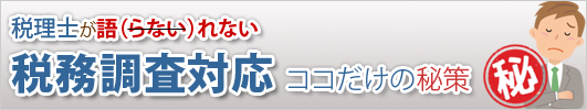 税理士が語（らない）れない税務調査対応 ココだけの秘策